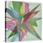 Burst I-Jennifer Goldberger-Stretched Canvas