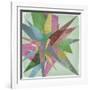 Burst I-Jennifer Goldberger-Framed Art Print