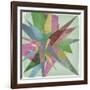 Burst I-Jennifer Goldberger-Framed Art Print