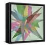 Burst I-Jennifer Goldberger-Framed Stretched Canvas