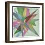 Burst I-Jennifer Goldberger-Framed Art Print