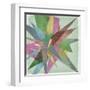 Burst I-Jennifer Goldberger-Framed Art Print