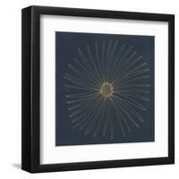 Burst II-Cathe Hendrick-Framed Art Print