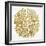 Burst in Gold Palette-Cat Coquillette-Framed Giclee Print