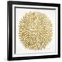 Burst in Gold Palette-Cat Coquillette-Framed Giclee Print