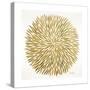 Burst in Gold Palette-Cat Coquillette-Stretched Canvas