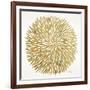 Burst in Gold Palette-Cat Coquillette-Framed Giclee Print