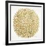 Burst in Gold Palette-Cat Coquillette-Framed Giclee Print