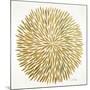Burst in Gold Palette-Cat Coquillette-Mounted Giclee Print