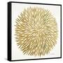 Burst in Gold Palette-Cat Coquillette-Framed Stretched Canvas