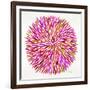 Burst in Pink Palette-Cat Coquillette-Framed Giclee Print