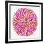 Burst in Pink Palette-Cat Coquillette-Framed Giclee Print