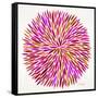 Burst in Pink Palette-Cat Coquillette-Framed Stretched Canvas