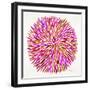 Burst in Pink Palette-Cat Coquillette-Framed Giclee Print