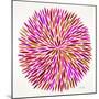Burst in Pink Palette-Cat Coquillette-Mounted Giclee Print