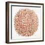 Burst in Rose Gold Palette-Cat Coquillette-Framed Premium Giclee Print