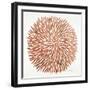 Burst in Rose Gold Palette-Cat Coquillette-Framed Premium Giclee Print