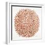 Burst in Rose Gold Palette-Cat Coquillette-Framed Premium Giclee Print