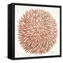 Burst in Rose Gold Palette-Cat Coquillette-Framed Stretched Canvas