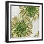 Burst of Green-Eva Watts-Framed Art Print