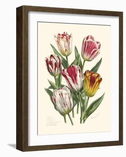 Burst of Spring I-Vision Studio-Framed Art Print