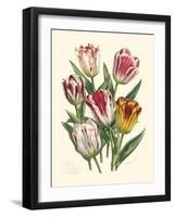 Burst of Spring I-Vision Studio-Framed Art Print