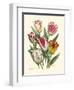 Burst of Spring I-Vision Studio-Framed Art Print