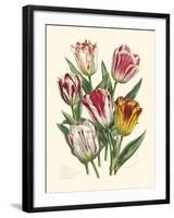 Burst of Spring I-Vision Studio-Framed Art Print