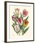 Burst of Spring I-Vision Studio-Framed Art Print