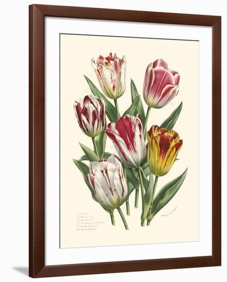 Burst of Spring I-Vision Studio-Framed Art Print