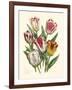 Burst of Spring I-Vision Studio-Framed Art Print