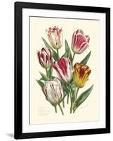 Burst of Spring I-Vision Studio-Framed Art Print