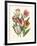 Burst of Spring I-Vision Studio-Framed Art Print