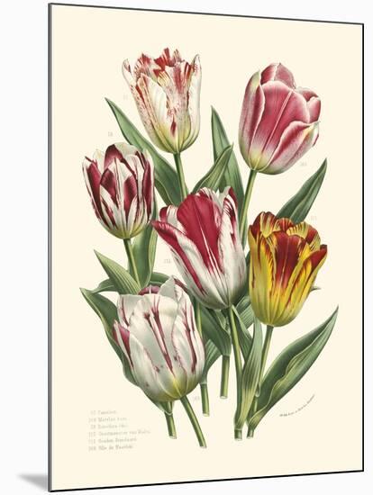 Burst of Spring I-Vision Studio-Mounted Art Print