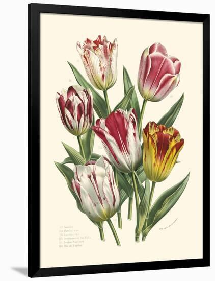 Burst of Spring I-Vision Studio-Framed Art Print