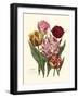 Burst of Spring II-Vision Studio-Framed Art Print