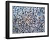 Burst-Patricia Russac-Framed Art Print