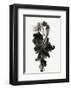 Burst-Design Fabrikken-Framed Art Print