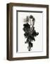 Burst-Design Fabrikken-Framed Art Print