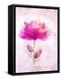 Bursting Floral-Ken Roko-Framed Stretched Canvas