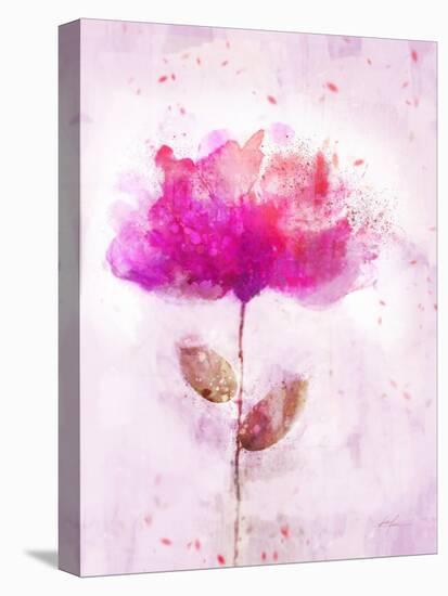 Bursting Floral-Ken Roko-Stretched Canvas