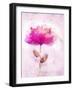 Bursting Floral-Ken Roko-Framed Art Print