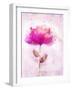 Bursting Floral-Ken Roko-Framed Art Print