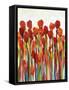 Bursting with Color II-Tim OToole-Framed Stretched Canvas