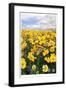 Bursting with Flowers-Donald Paulson-Framed Giclee Print