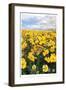 Bursting with Flowers-Donald Paulson-Framed Giclee Print