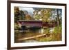 Burt Henry Covered Bridge, Vermont-George Oze-Framed Photographic Print