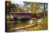 Burt Henry Covered Bridge, Vermont-George Oze-Stretched Canvas