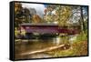 Burt Henry Covered Bridge, Vermont-George Oze-Framed Stretched Canvas