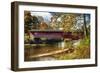 Burt Henry Covered Bridge, Vermont-George Oze-Framed Photographic Print